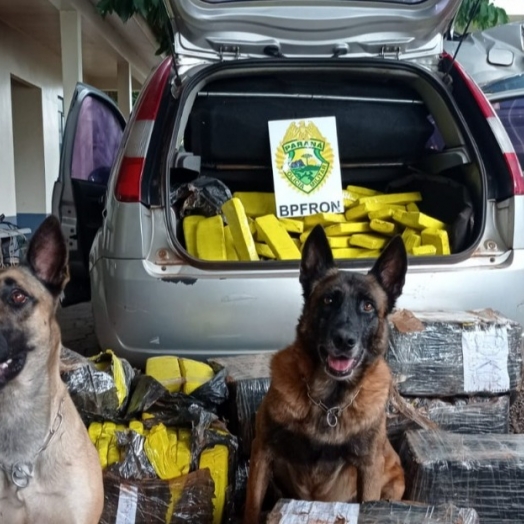 BPFRON apreende em Santa Helena veículo carregado com maconha