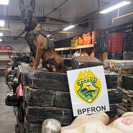 BPFRON apreende quase 6 toneladas de maconha em Santa Helena