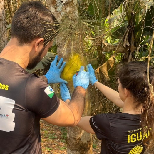 Caminhos do Peabiru em Foz do Iguaçu recebe sinalização rústica, próxima etapa é implantar placas turísticas