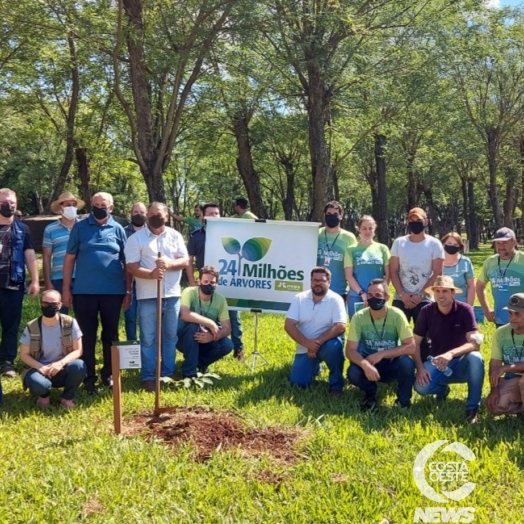 Campanha 24 milhões de árvores plantadas chega em São Miguel do Iguaçu e Ipê Roxo é plantado no Balneário Ipiranga