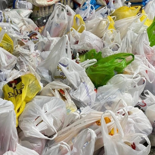 Carnaval de Santa Helena arrecada mais de duas toneladas de alimentos com ingresso solidário