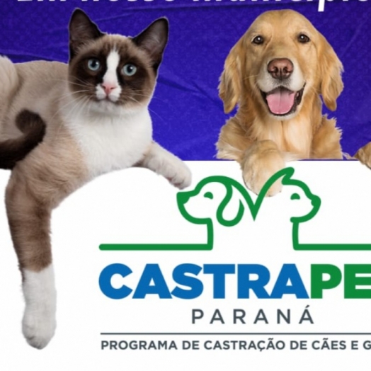 CastraPet deve chegar em Itaipulândia em breve