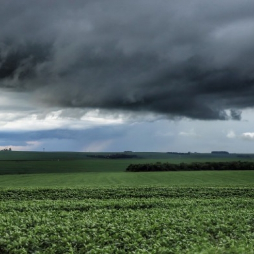 Chuva fica abaixo da média em fevereiro no Paraná, aponta o Simepar