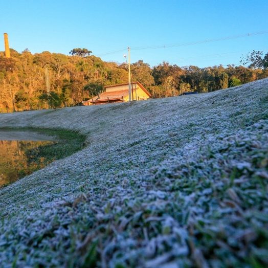 Com objetivo de auxiliar setor rural, Serviço Alerta Geada começa nesta segunda-feira