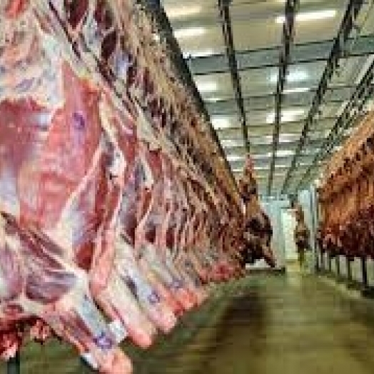 Conab estima produção de carnes ultrapassando 29 milhões de toneladas, maior nível na série histórica