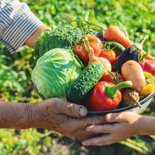 Conab participa de acordo para ampliar acesso da agricultura familiar às compras institucionais