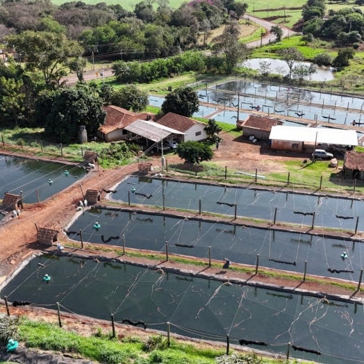 Cresol participa do VI Congresso Internacional do Peixe, em Foz do Iguaçu (PR)