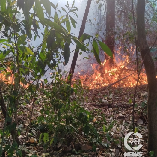 Defesa Civil de Missal tem atuado no combate a incêndios ambientais