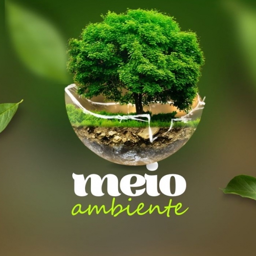 Dia mundial do Meio Ambiente