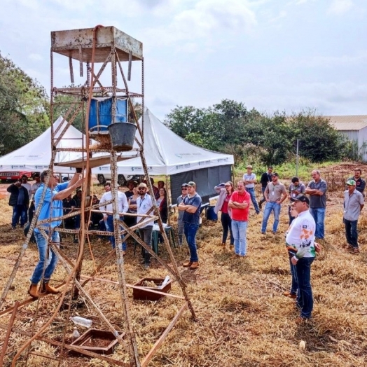 Encontro prático sobre manejo de solos e adubação com dejetos de animais é realizado em Itaipulândia