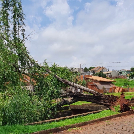 Forte chuva causa prejuízo em Medianeira