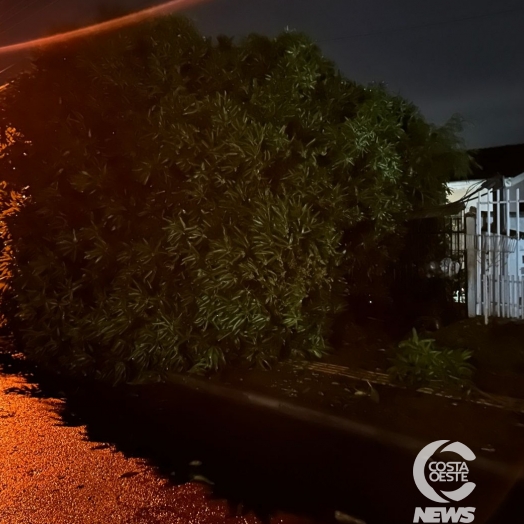 Forte chuva com granizo atinge São Miguel do Iguaçu na madrugada desta segunda-feira