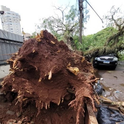 FOTOS: Forte rajada de vento causa estragos em Foz do Iguaçu