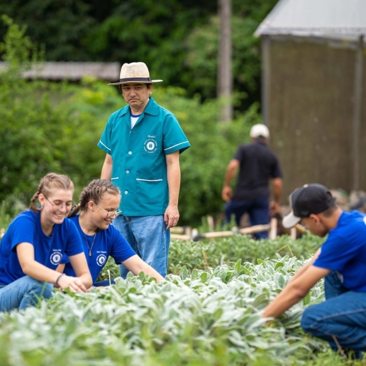 Governador sanciona lei que transforma colégios agrícolas do Paraná em cooperativas-escola