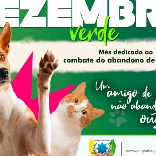 Governo Municipal conscientiza contra o abandono de animais no ‘Dezembro Verde’