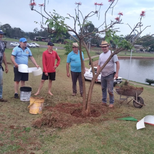 Grupo de voluntários auxilia o crescimento das árvores no Lago Municipal de Missal