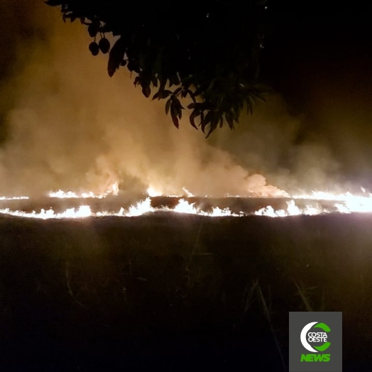 Incêndio em vegetação é registrado no Balneário de Santa Helena; veja o vídeo