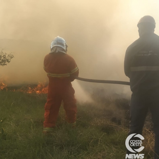 Incêndio de grandes proporções atinge vegetação no balneário de Santa Helena