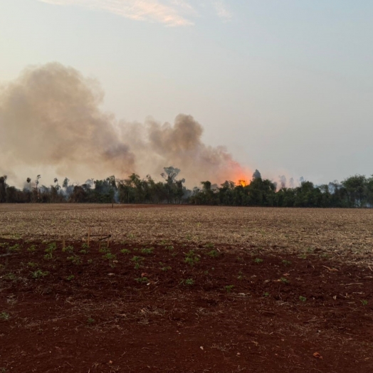 Incêndio em área de mata próximo à Plantiagro causa grande prejuízo ambiental