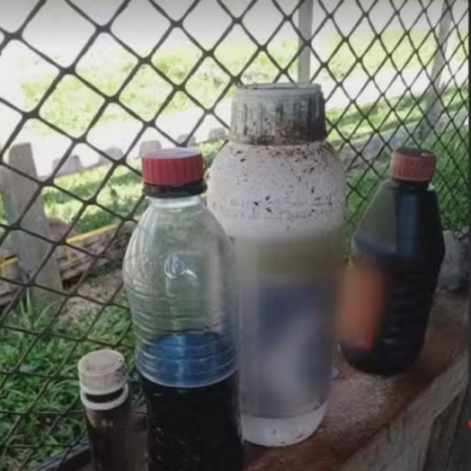 Irmãos morrem após tomarem veneno guardado em garrafa plástica achando que era suco de uva