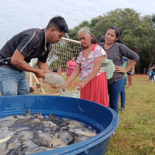 Itaipu conclui distribuição de 2,5 toneladas de peixes para comunidades indígenas