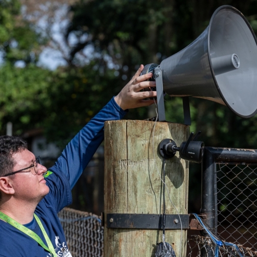 Itaipu contribui com pesquisa de sistema sonoro que afasta animais de ferrovias