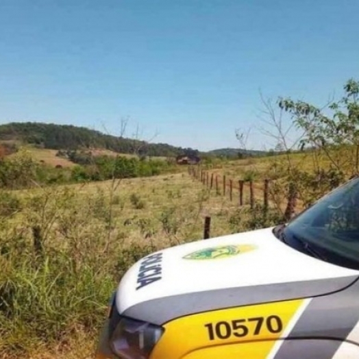 Ladrões abatem gado em propriedade rural de Diamante do Oeste e PM encontra celular deixado pelos suspeitos