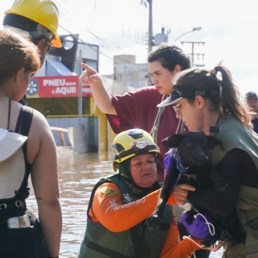 Mais de 76 mil pessoas e 11 mil animais foram resgatados no Rio Grande do Sul