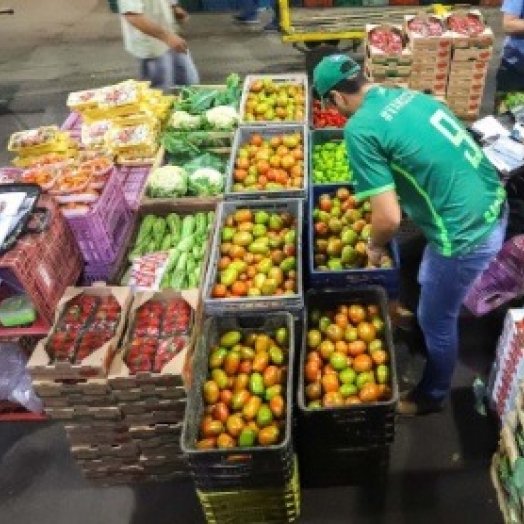 Manga Tomy e batata-doce roxa tem alta no preço