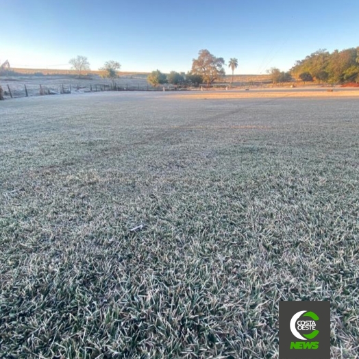 Medianeira registrou mínima de 0°C e geada nesta madrugada