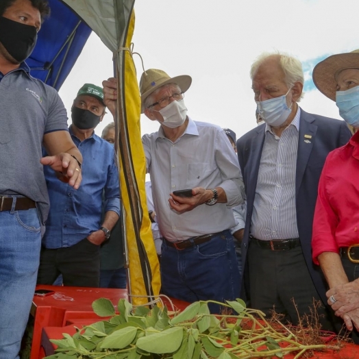 Ministério da Agricultura e Estado avaliam efeitos da estiagem e apoiam produtores do Paraná