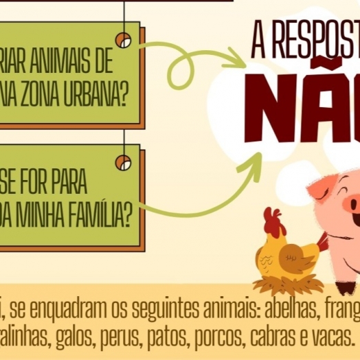 Missal: Vigilância Sanitária alerta sobre leis que proíbem a criação de animais de produção na Zona Urbana