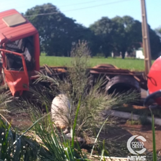 Motorista colide caminhão em palmeira na entrada de Missal ao ser fechado por veículo