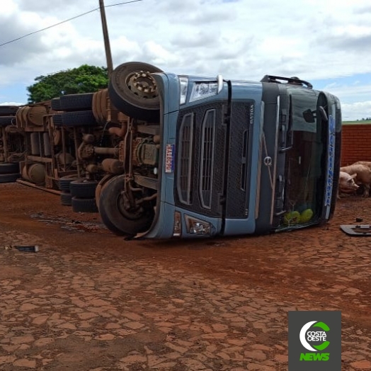 Motorista tomba carreta carregada com suínos na PR 317 em Santa Helena