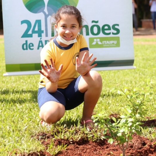 Município de Guaíra e Itaipu Binacional celebram plantio de 24 milhões de árvores