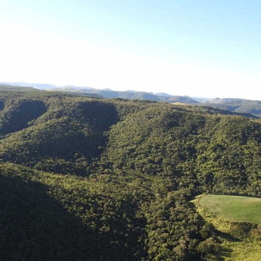 Municípios do Paraná devem cadastrar suas áreas de conservação até o dia 30 de julho