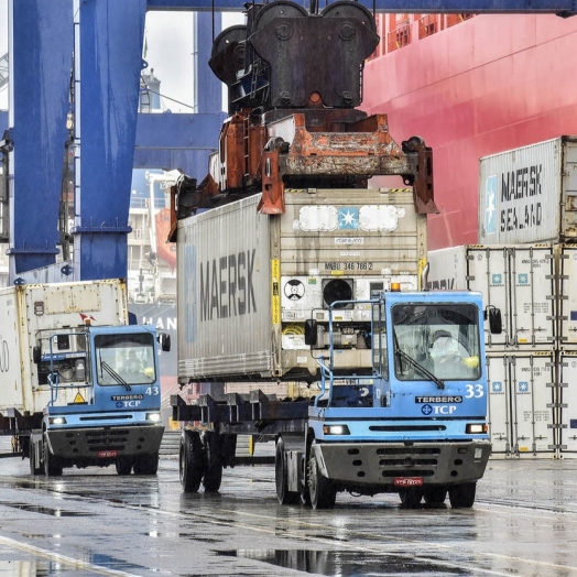 No 1º quadrimestre, Porto de Paranaguá exporta 608 mil toneladas de frango congelado