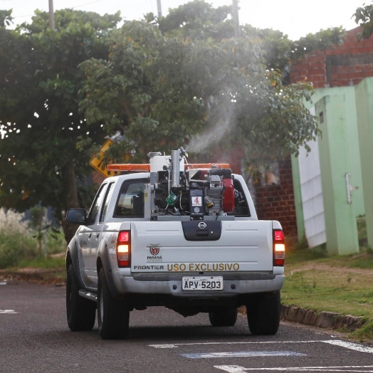 Novo inseticida contra mosquito da dengue deve chegar ao Paraná ainda neste mês