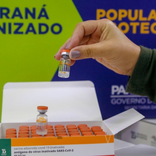 Novo lote de vacinas contra a Covid-19 chega ao Paraná nesta quinta
