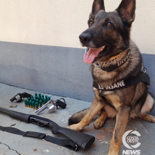 Operação da Polícia Civil em Santa Helena apreende armas, veículos e detém duas pessoas