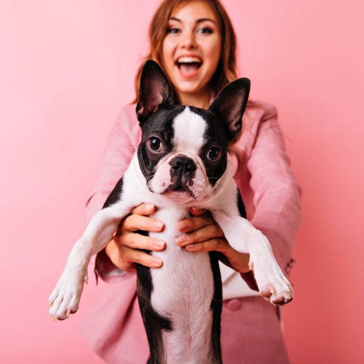 Outubro Rosa Pet: prevenção do câncer de mama em cadelas e gatas é foco do Hospital Veterinário UNIGUAÇU neste mês