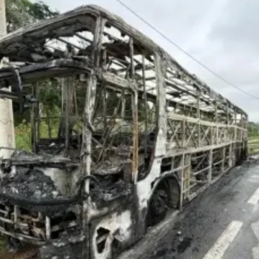 Palmeiras se manifesta após ataque da Mancha a ônibus da Máfia Azul