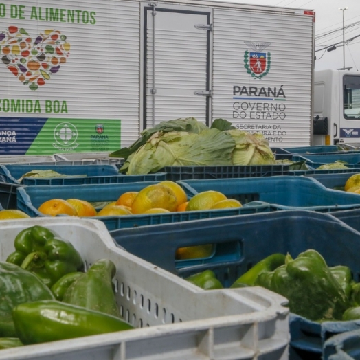 Paraná amplia segurança alimentar e fortalece agricultura familiar