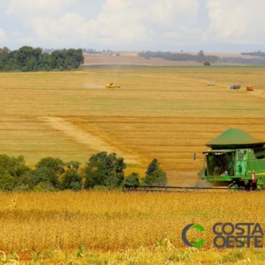 Paraná deve produzir 24 milhões de toneladas na safra de verão