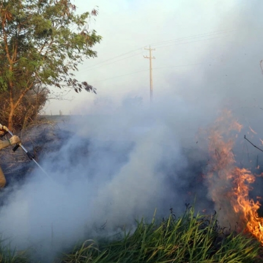 Paraná está em alerta para incêndios florestais e onda de calor