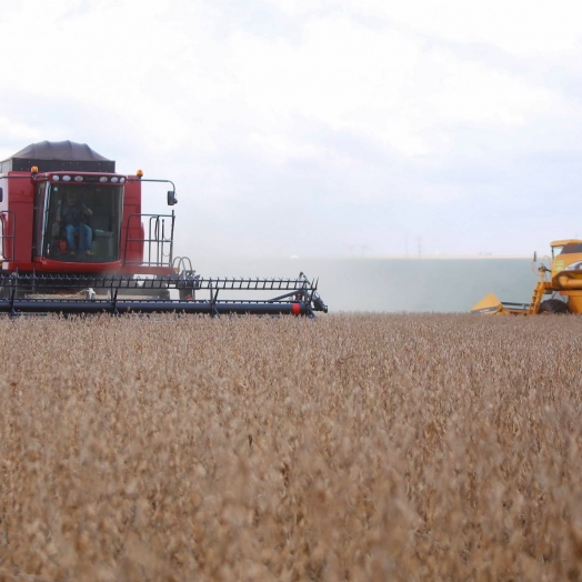 Paraná poderá produzir 42 milhões de toneladas de grãos