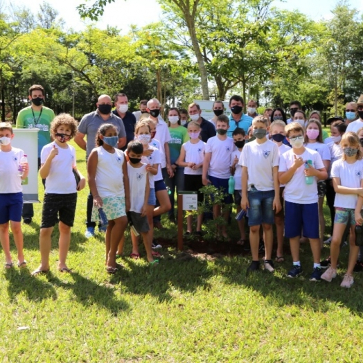 Peroba foi a árvore escolhida em Missal para o plantio Simbólico da Campanha 24 Milhões de Árvores plantadas