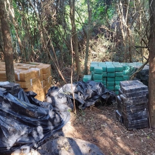 PF apreende 5,5 toneladas de droga em Santa Helena