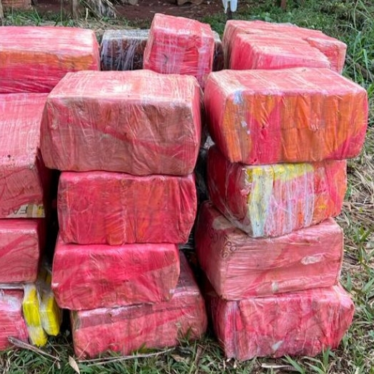 PF e Polícia Civil apreendem mais de 600kg de maconha em Santa Helena