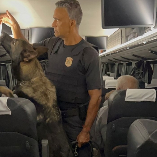 PF prende passageiro com haxixe e anabolizantes em ônibus intermunicipal